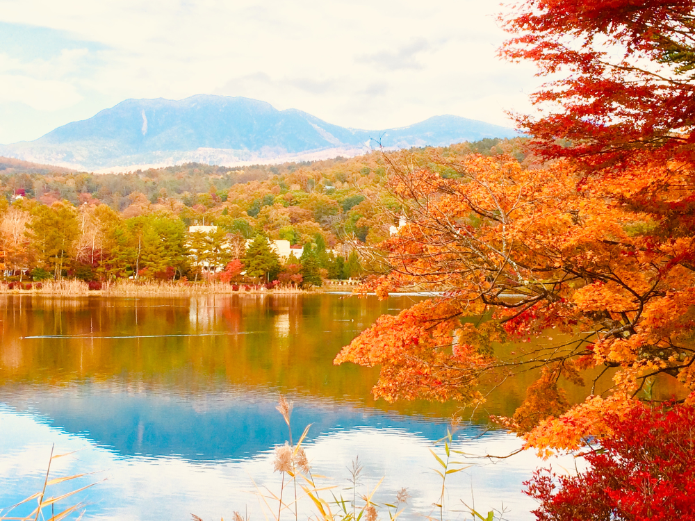 Pictures of Autumn Leaves in Japan